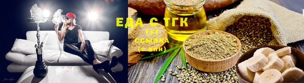 индика Аркадак