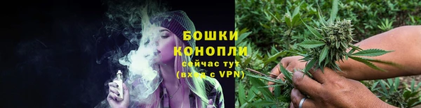 шишки Армянск