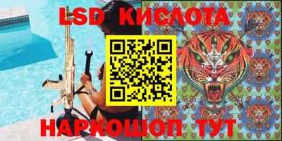 PSILOCYBIN Бугуруслан
