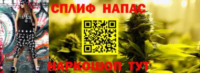 тгк Аргун