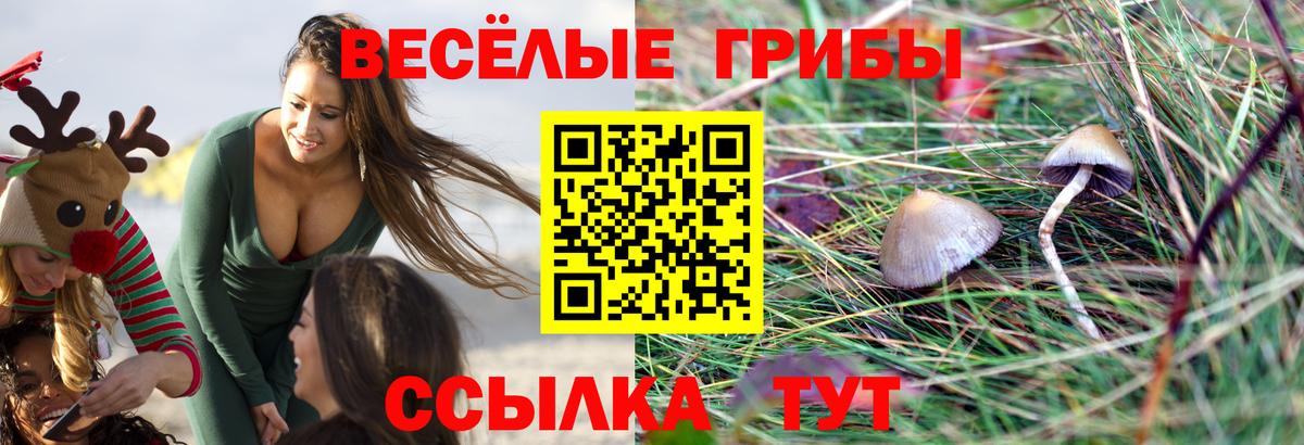 хочу   Галлюциногенные грибы прущие грибы  Вход с VPN  Бахчисарай 