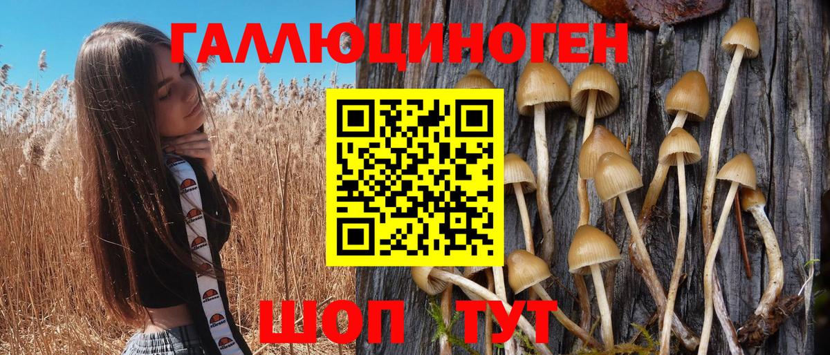 Псилоцибиновые грибы Magic Shrooms  Псилоцибиновые грибы GOLDEN TEACHER  Бахчисарай 